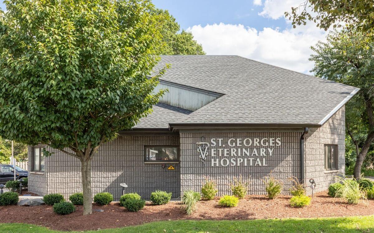 St. Georges Veterinary Hospital building