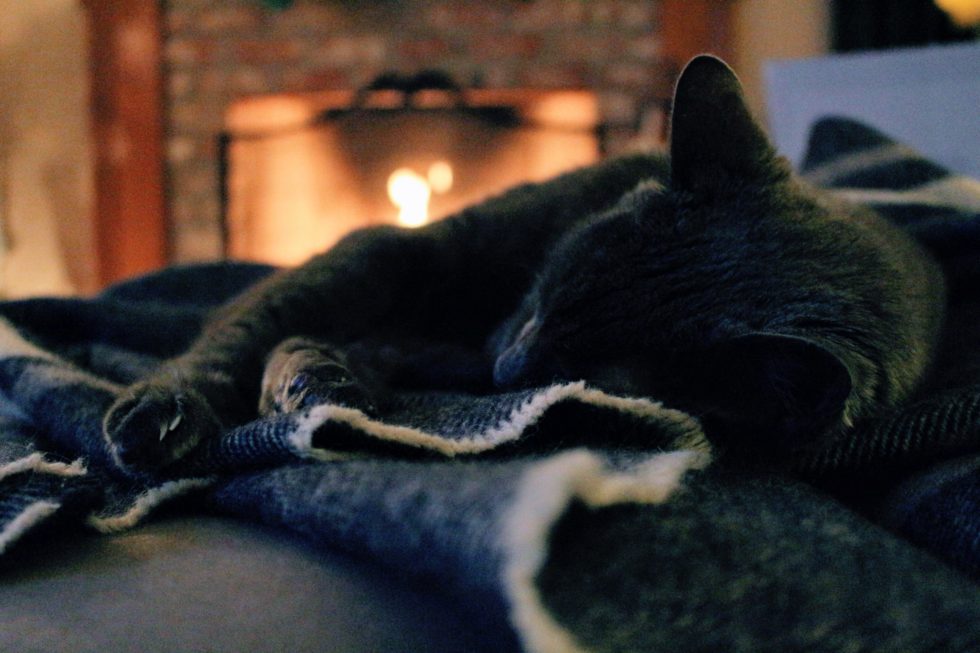 Black cat sleeping next to a fire place